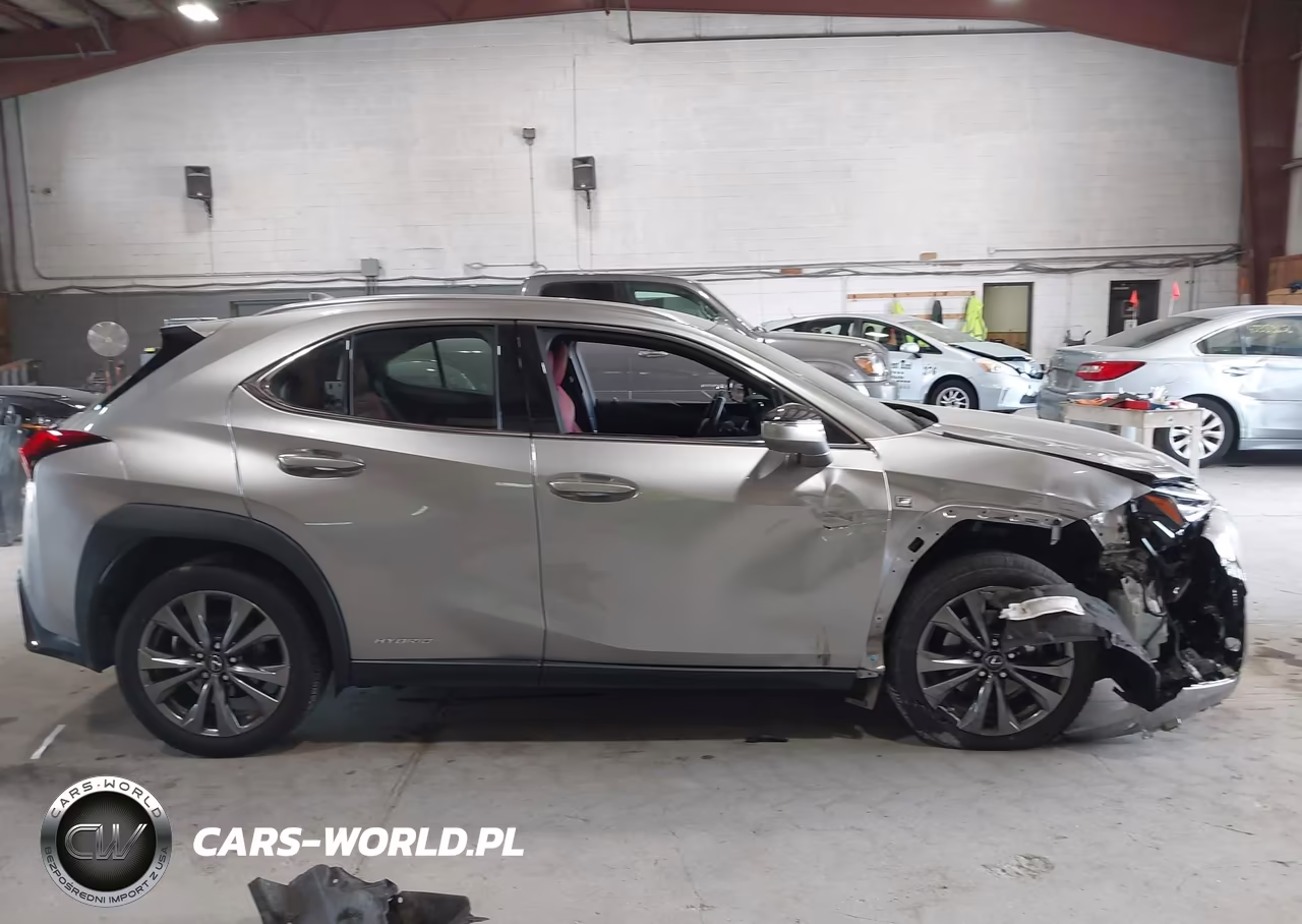 2019 Lexus Ux 250H F Sport VIN:JTHU9JBH5K2010528 - 13