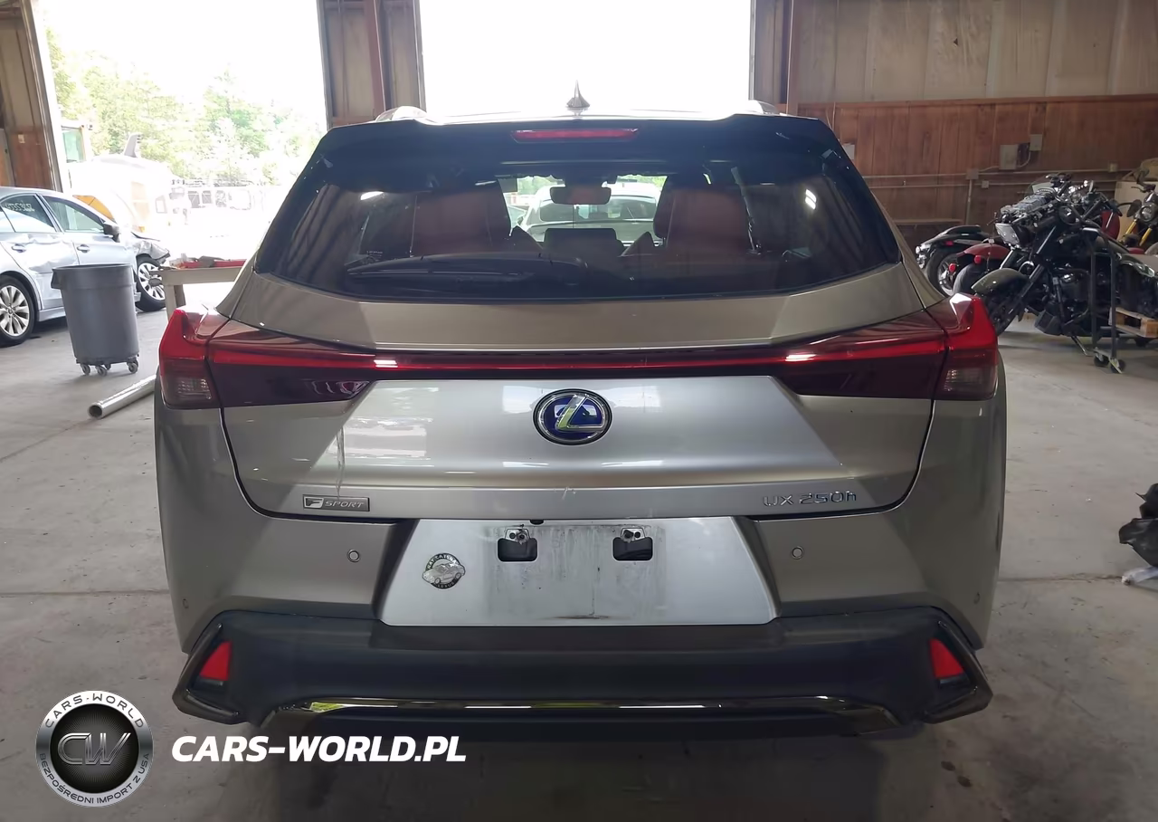 2019 Lexus Ux 250H F Sport VIN:JTHU9JBH5K2010528 - 16