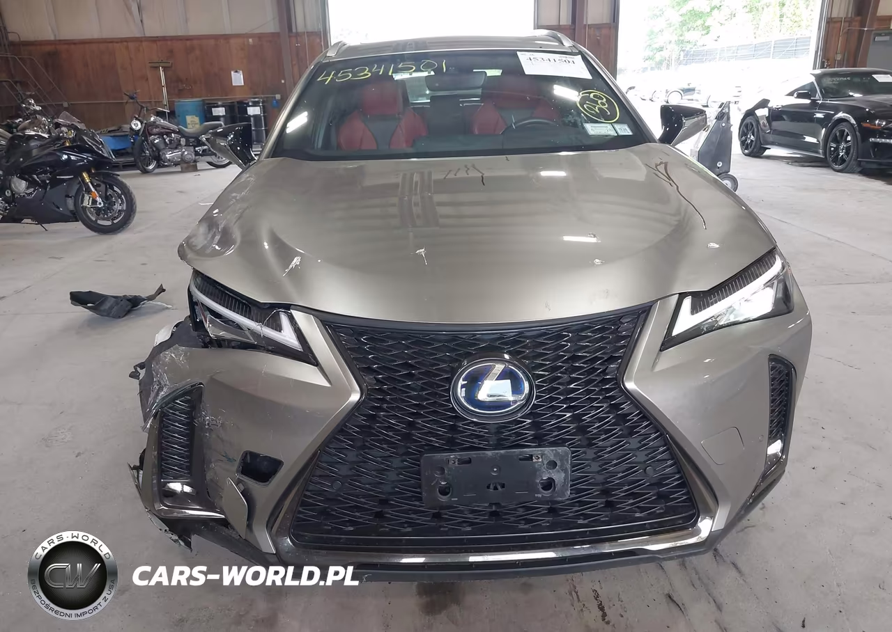 2019 Lexus Ux 250H F Sport VIN:JTHU9JBH5K2010528 - 17
