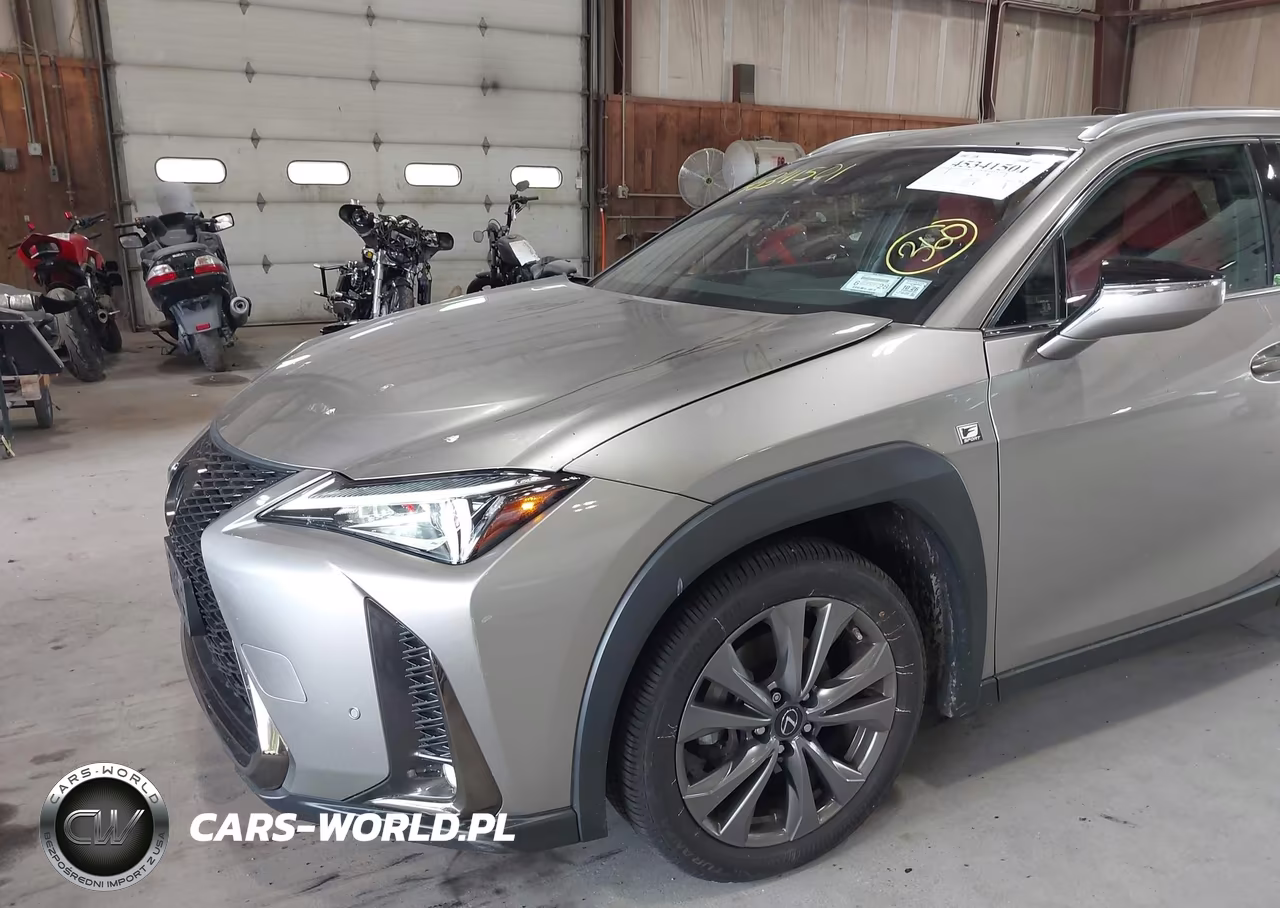 2019 Lexus Ux 250H F Sport VIN:JTHU9JBH5K2010528 - 18