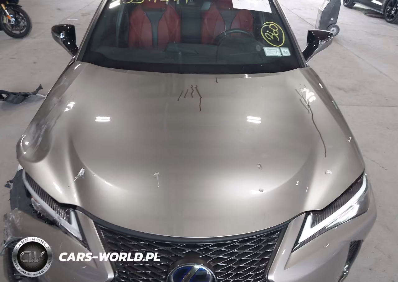 2019 Lexus Ux 250H F Sport VIN:JTHU9JBH5K2010528 - 19