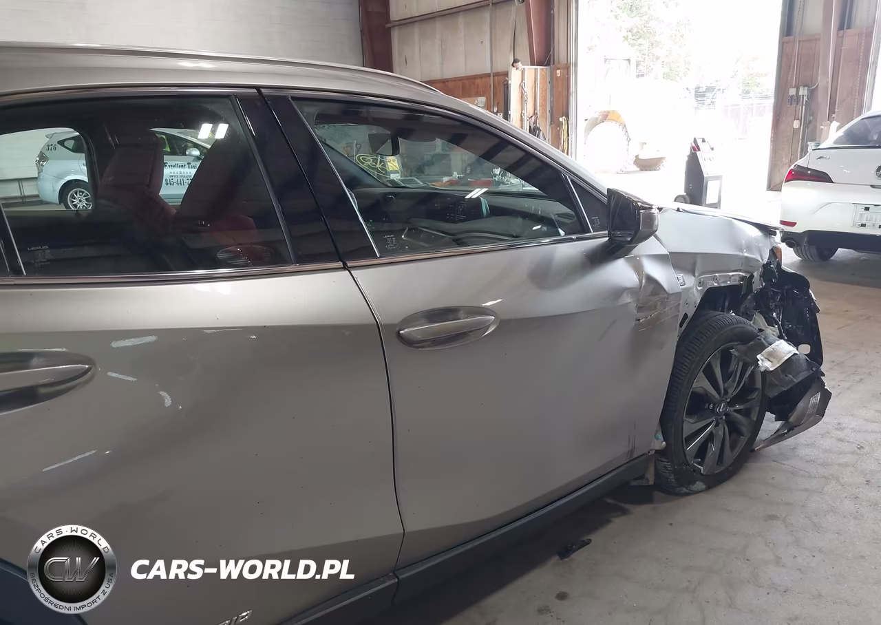 2019 Lexus Ux 250H F Sport VIN:JTHU9JBH5K2010528 - 20