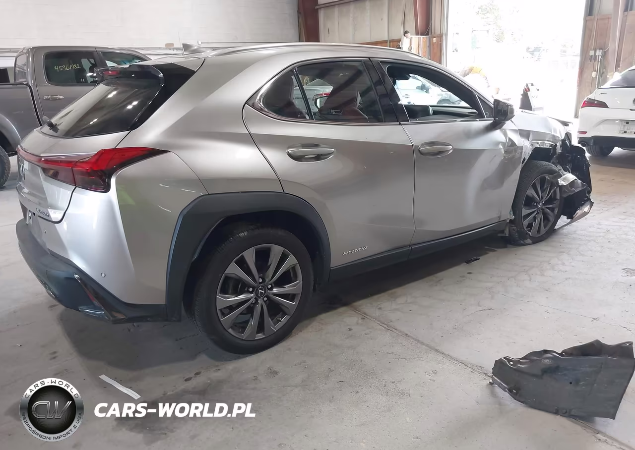 2019 Lexus Ux 250H F Sport VIN:JTHU9JBH5K2010528 - 4