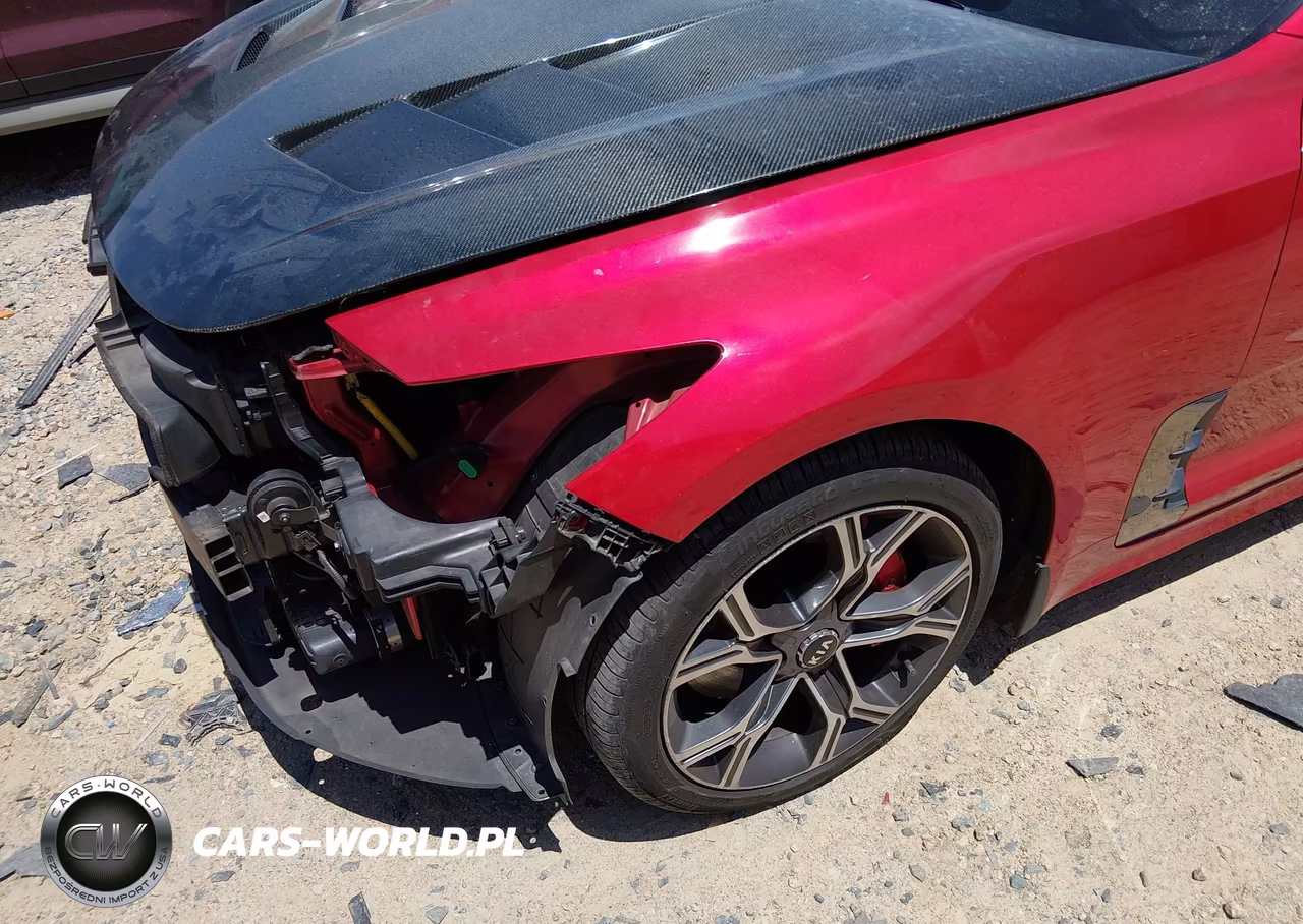 2018 Kia Stinger Gt2 VIN:KNAE55LC1J6015919 - 19