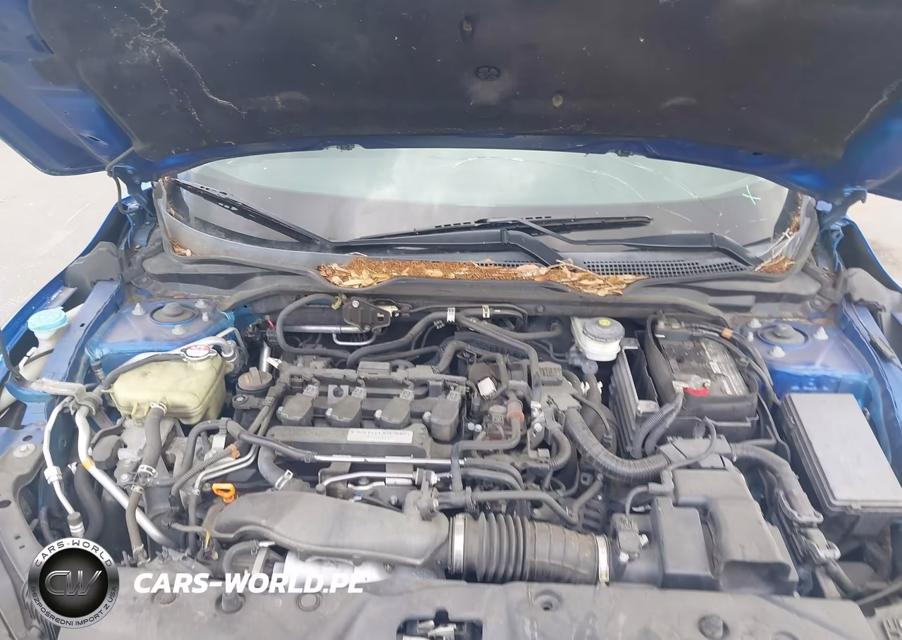 2016 Honda Civic Touring VIN:19XFC1F9XGE026118 - 10