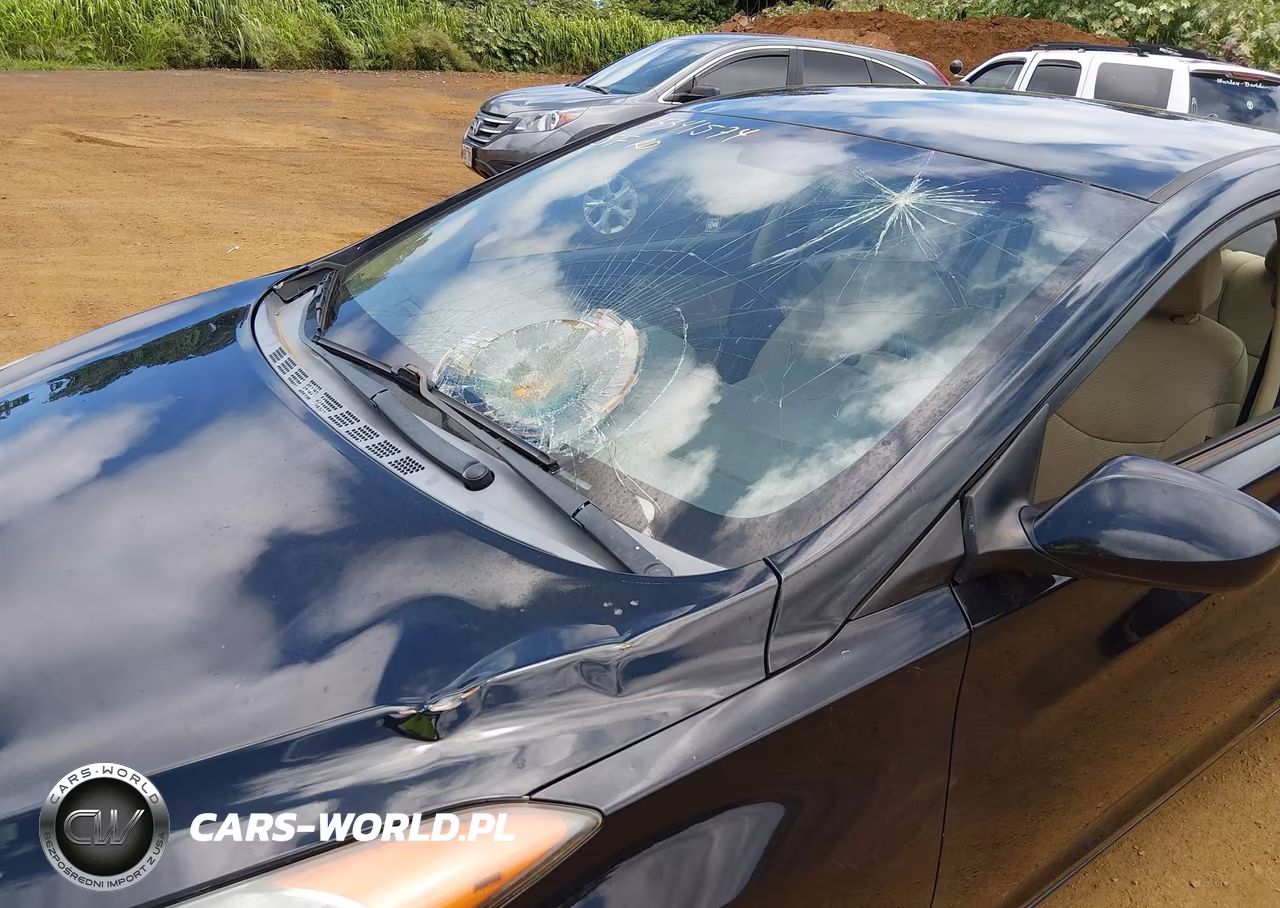 2011 Hyundai Elantra Gls VIN:5NPDH4AEXBH000265 - 6