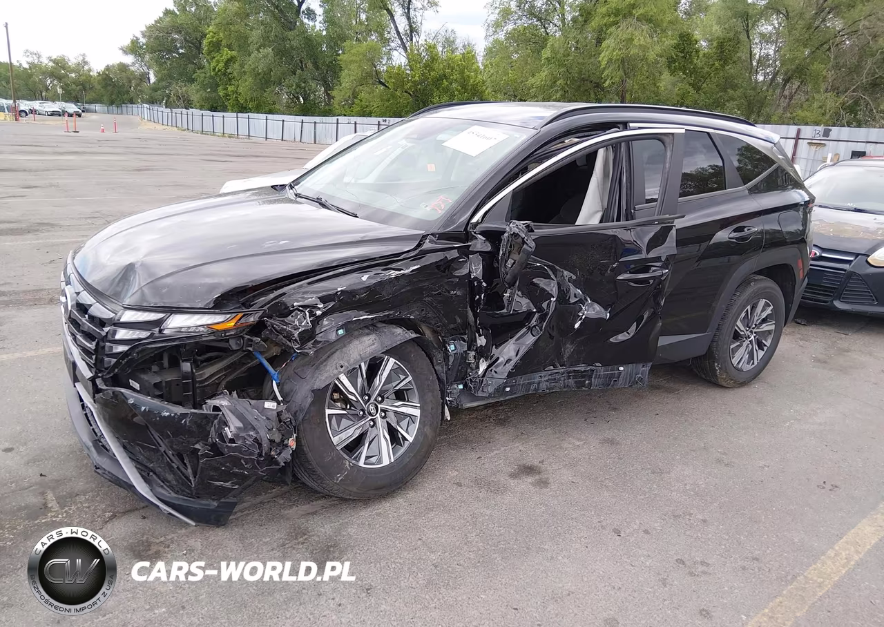 2022 Hyundai Tucson Hybrid Blue VIN:KM8JBCA13NU024280 - 2