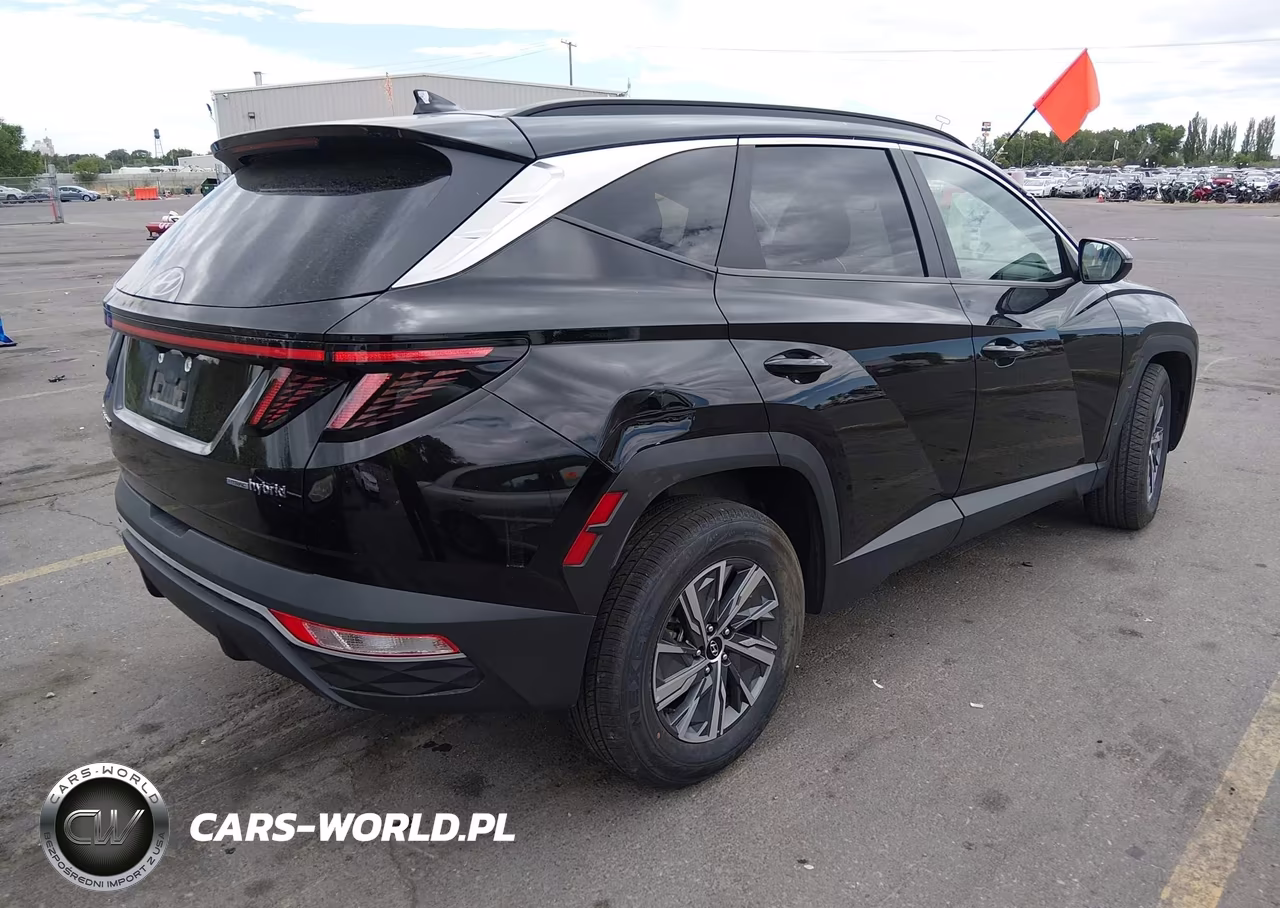 2022 Hyundai Tucson Hybrid Blue VIN:KM8JBCA13NU024280 - 4