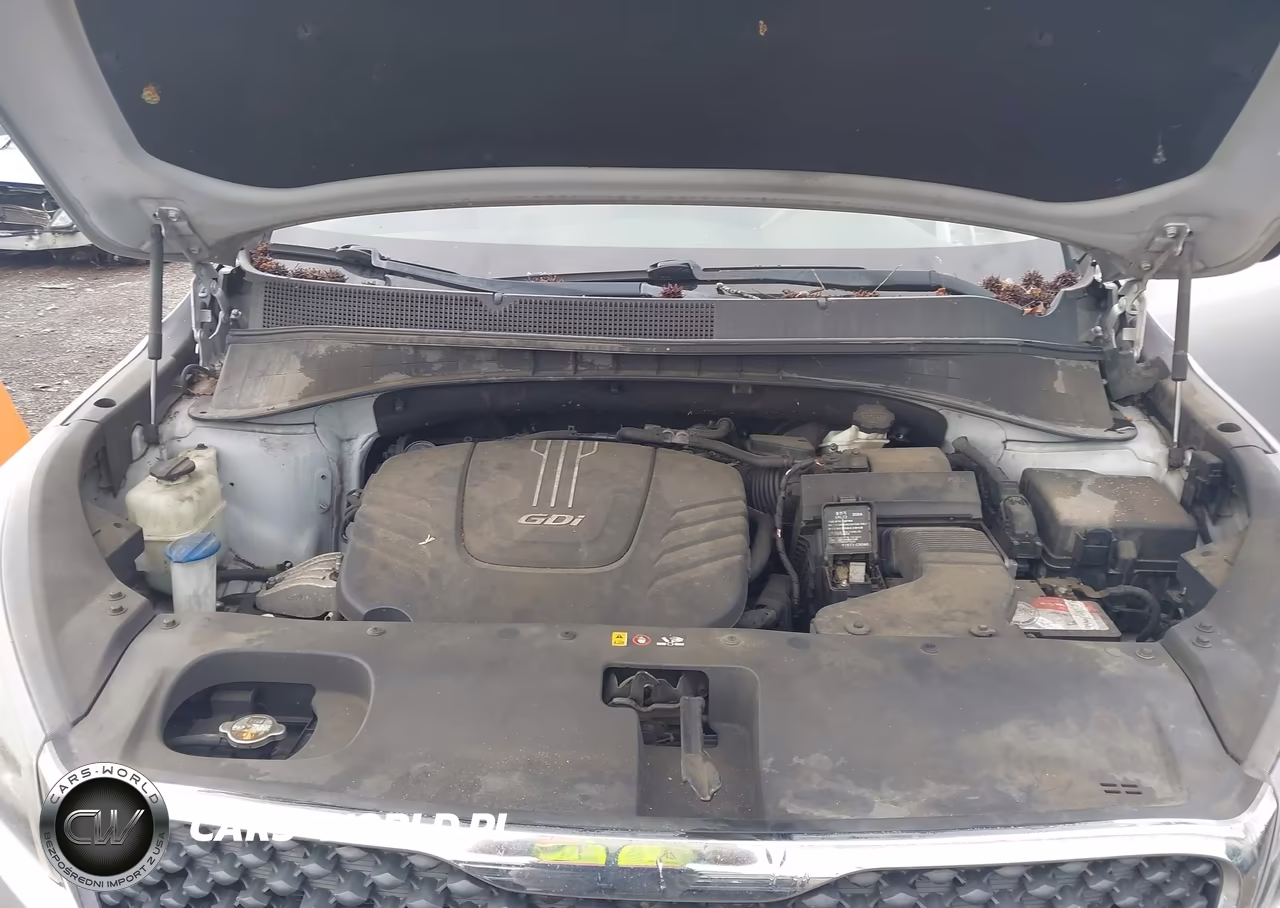 2016 Kia Sorento 3.3L Lx VIN:5XYPG4A55GG035388 - 10