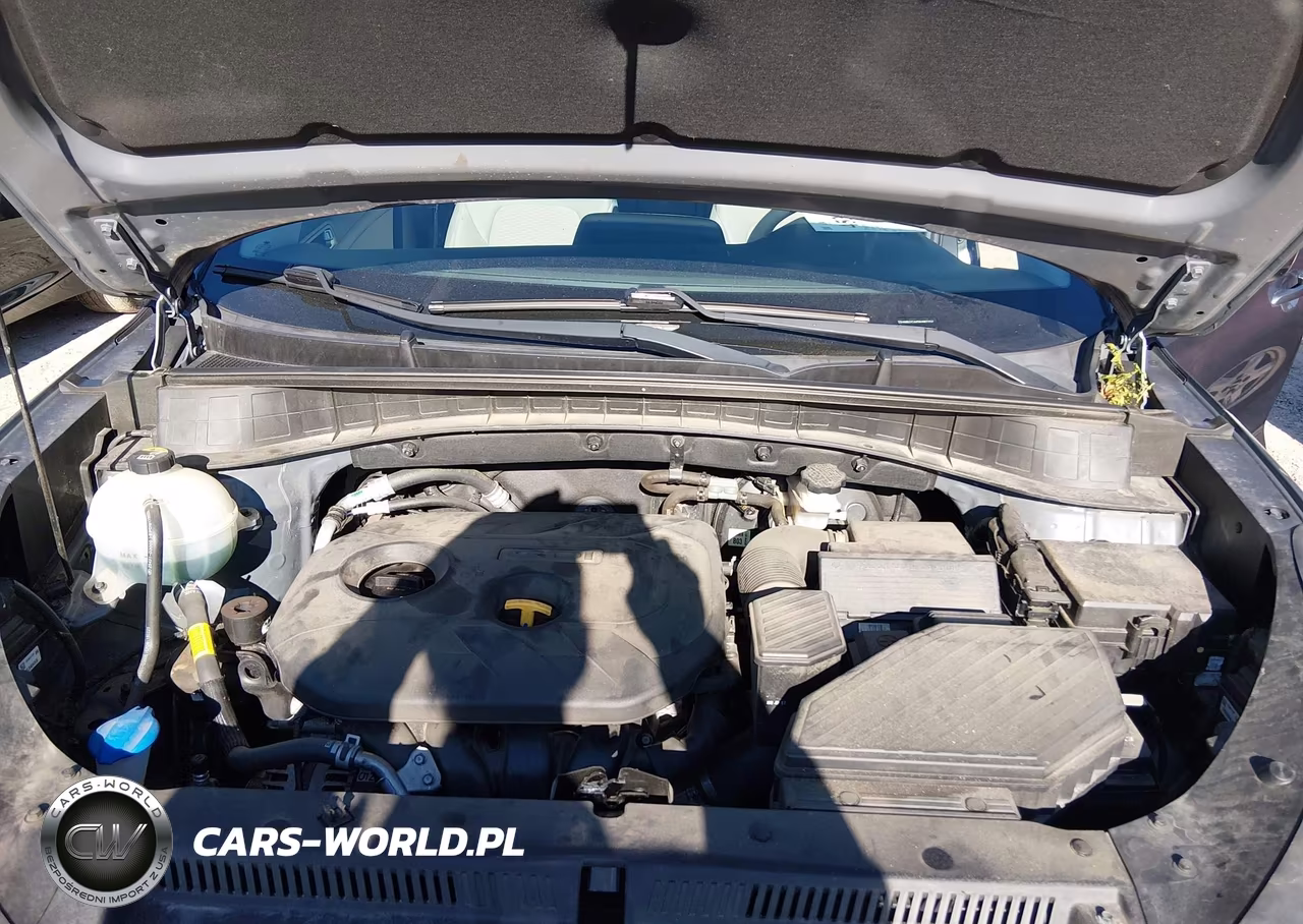 2019 Hyundai Tucson Se VIN:KM8J2CA45KU987252 - 10
