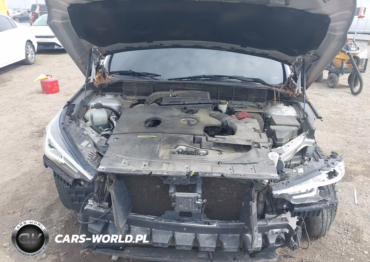2020 Infiniti Qx50 Luxe VIN:3PCAJ5M15LF121047 - 10
