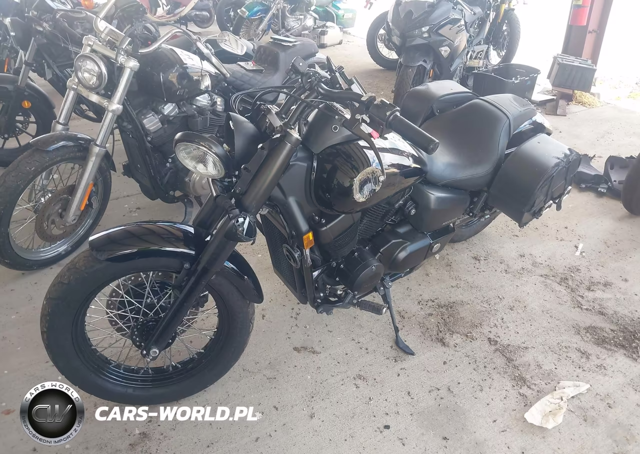 2020 Honda Vt750 C2B VIN:JH2RC5370LK100197 - 2