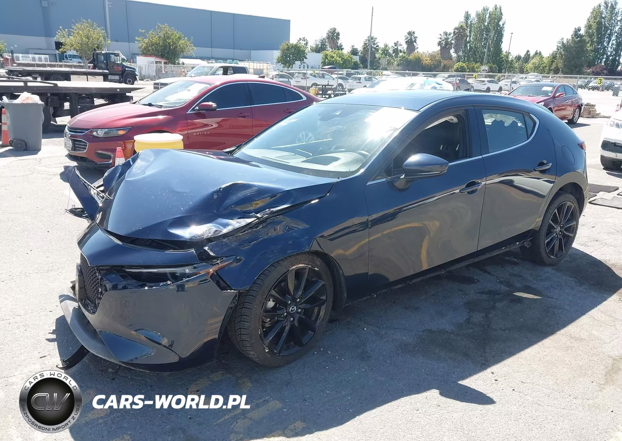 2019 Mazda Mazda3 Premium Package VIN:JM1BPBNM0K1144415 - 2