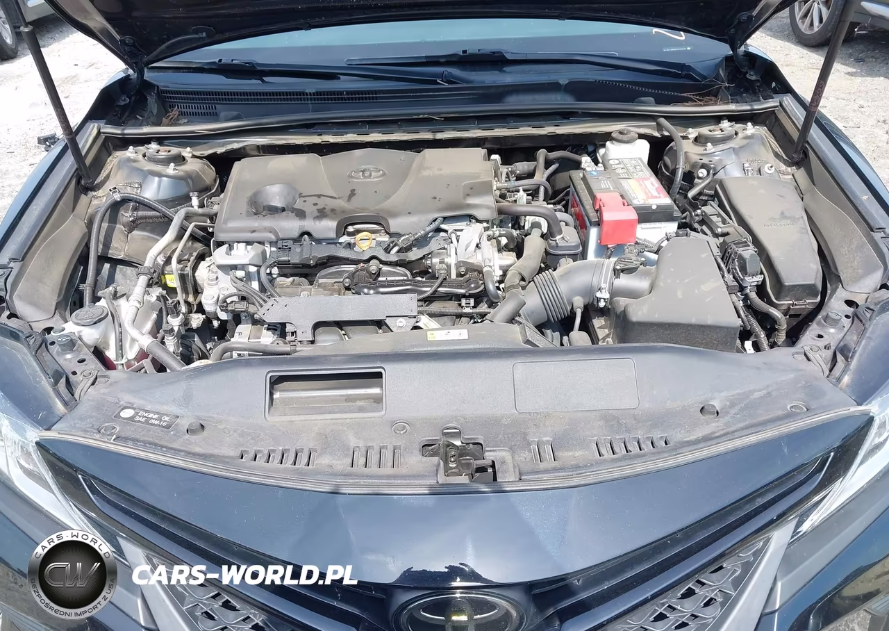 2019 Toyota Camry Se VIN:4T1B11HKXKU250435 - 10