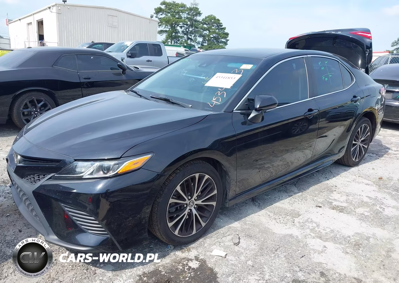 2019 Toyota Camry Se VIN:4T1B11HKXKU250435 - 2