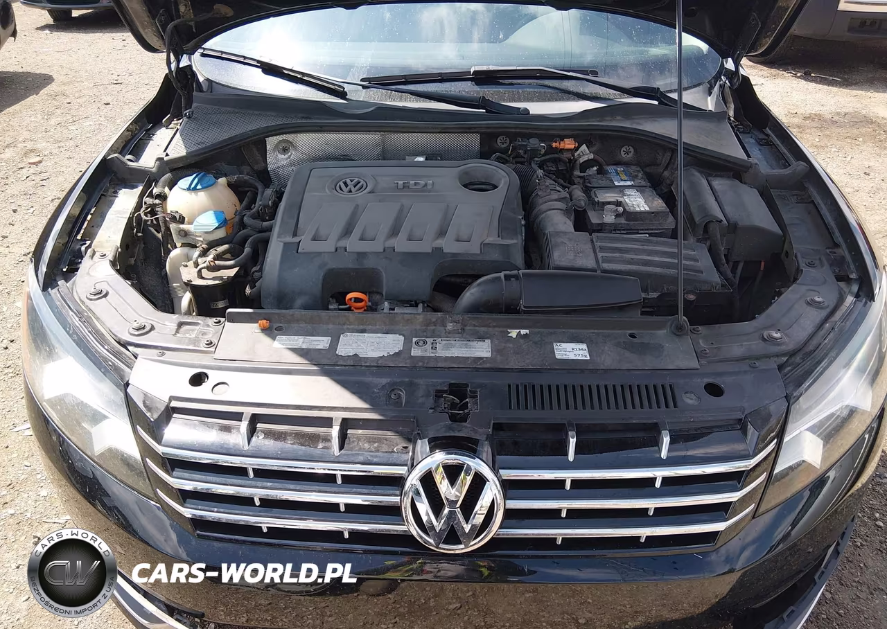 2013 Volkswagen Passat 2.0L Tdi Sel Premium VIN:1VWCN7A39DC061171 - 10