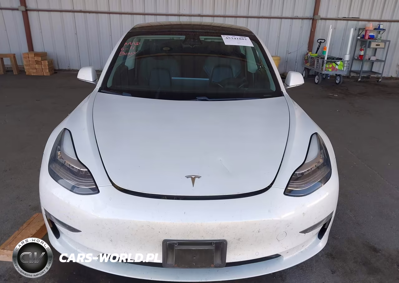 2020 Tesla Model 3 Standard Range Plus Rear-Wheel Drive-Standard Range Rear-Wheel Drive VIN:5YJ3E1EA5LF742969 - 11