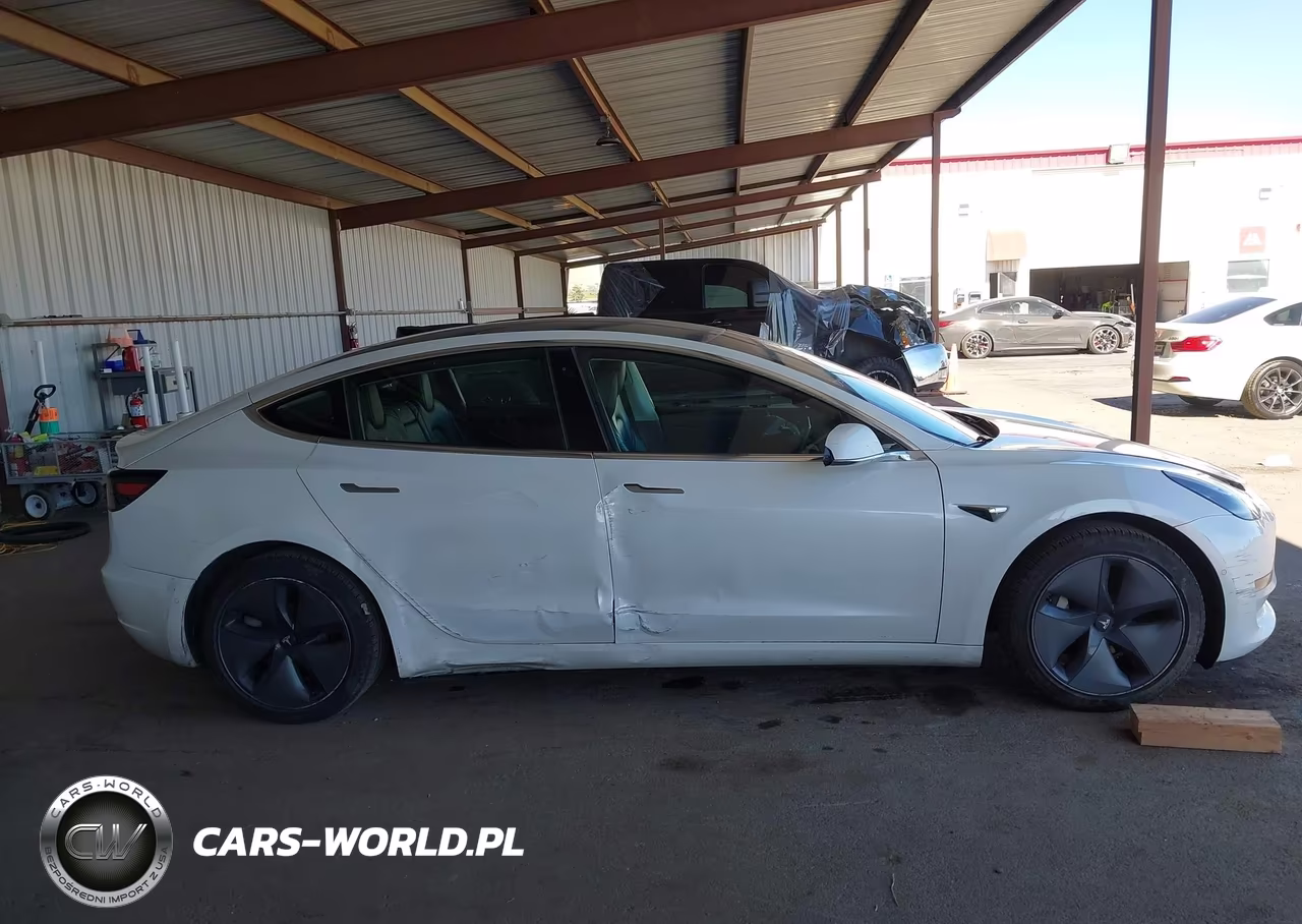 2020 Tesla Model 3 Standard Range Plus Rear-Wheel Drive-Standard Range Rear-Wheel Drive VIN:5YJ3E1EA5LF742969 - 12