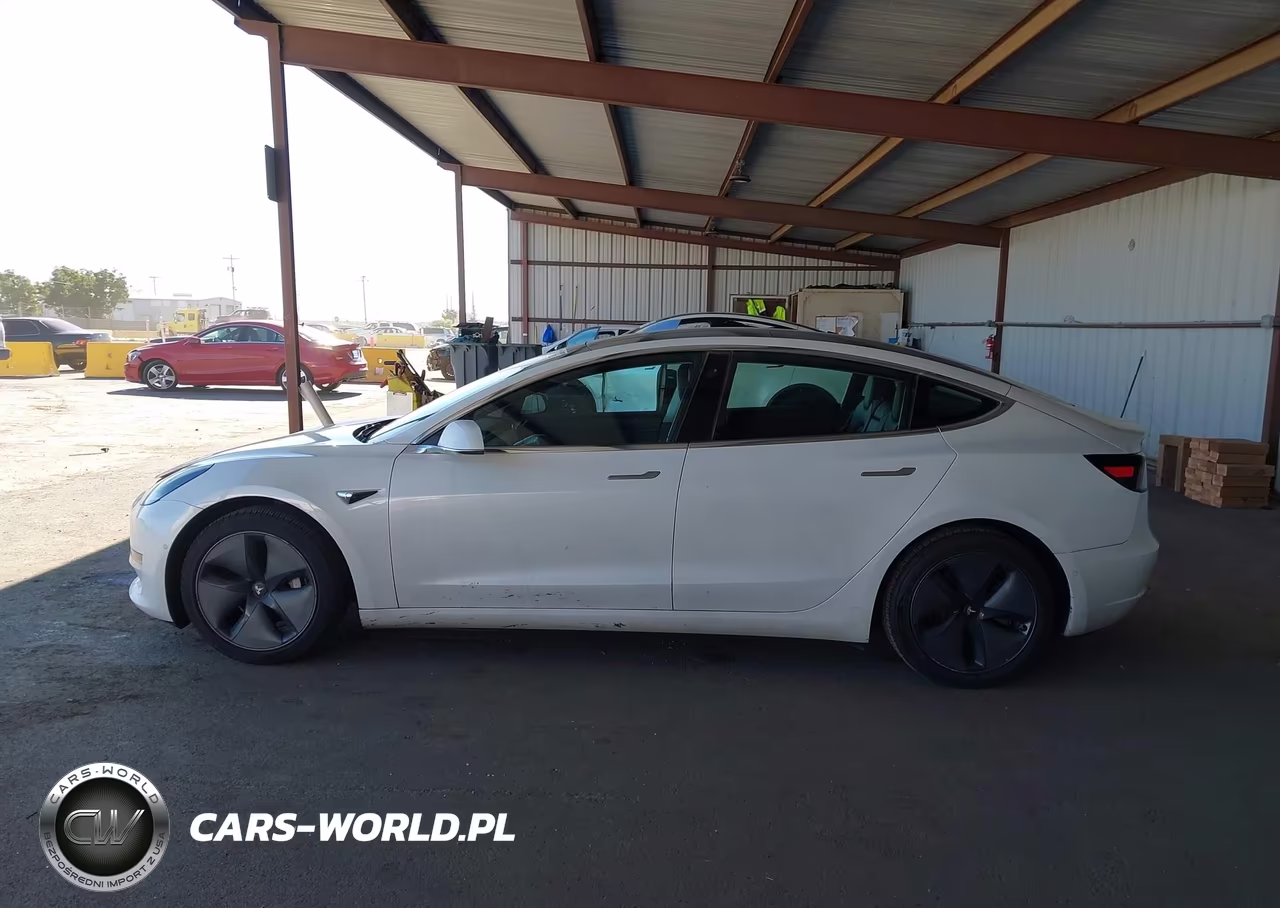 2020 Tesla Model 3 Standard Range Plus Rear-Wheel Drive-Standard Range Rear-Wheel Drive VIN:5YJ3E1EA5LF742969 - 13