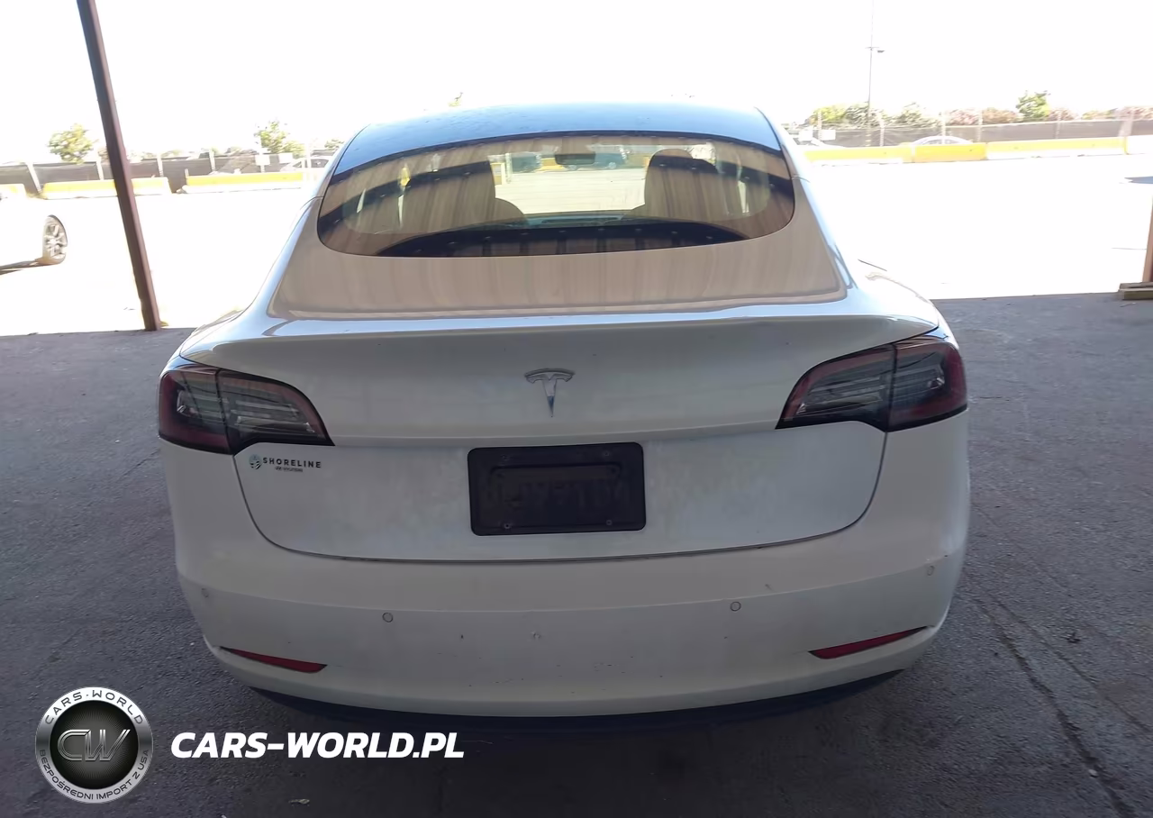 2020 Tesla Model 3 Standard Range Plus Rear-Wheel Drive-Standard Range Rear-Wheel Drive VIN:5YJ3E1EA5LF742969 - 15