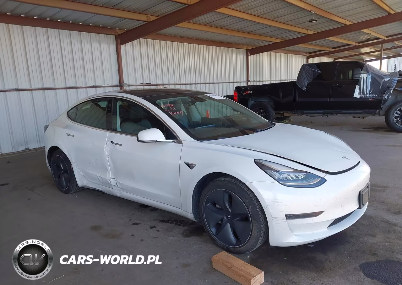2020 Tesla Model 3 Standard Range Plus Rear-Wheel Drive-Standard Range Rear-Wheel Drive VIN:5YJ3E1EA5LF742969 - 6