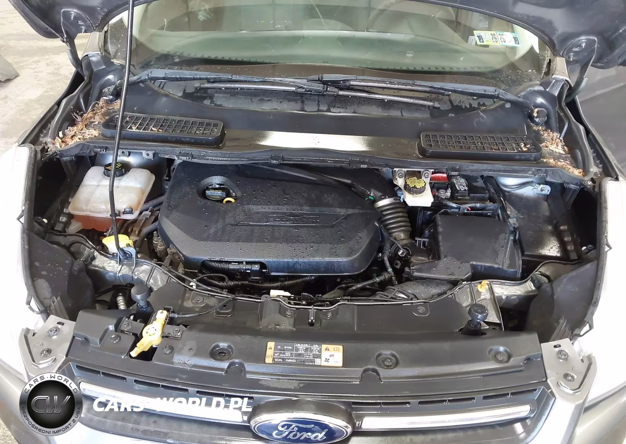 2014 Ford Escape Se VIN:1FMCU0GX3EUE48006 - 10