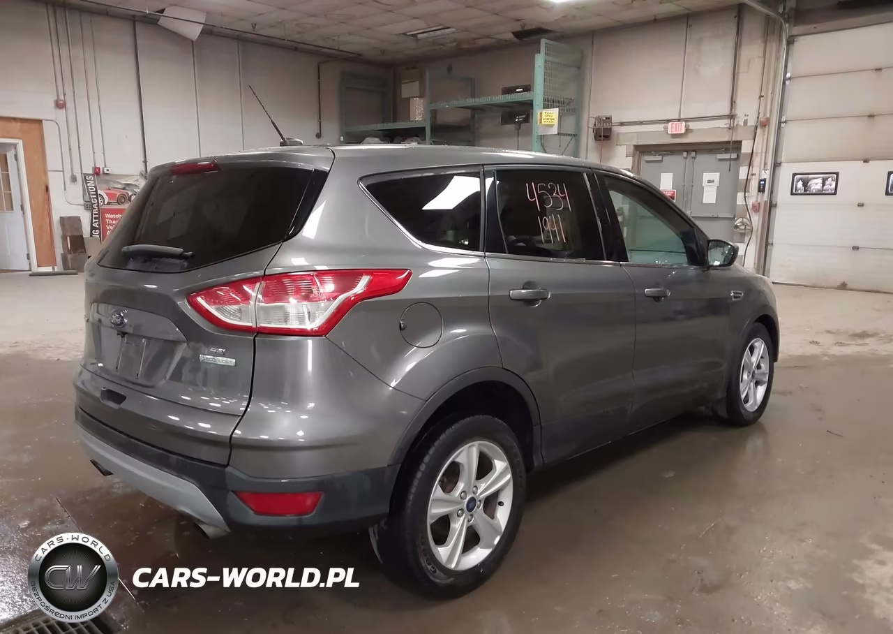 2014 Ford Escape Se VIN:1FMCU0GX3EUE48006 - 4