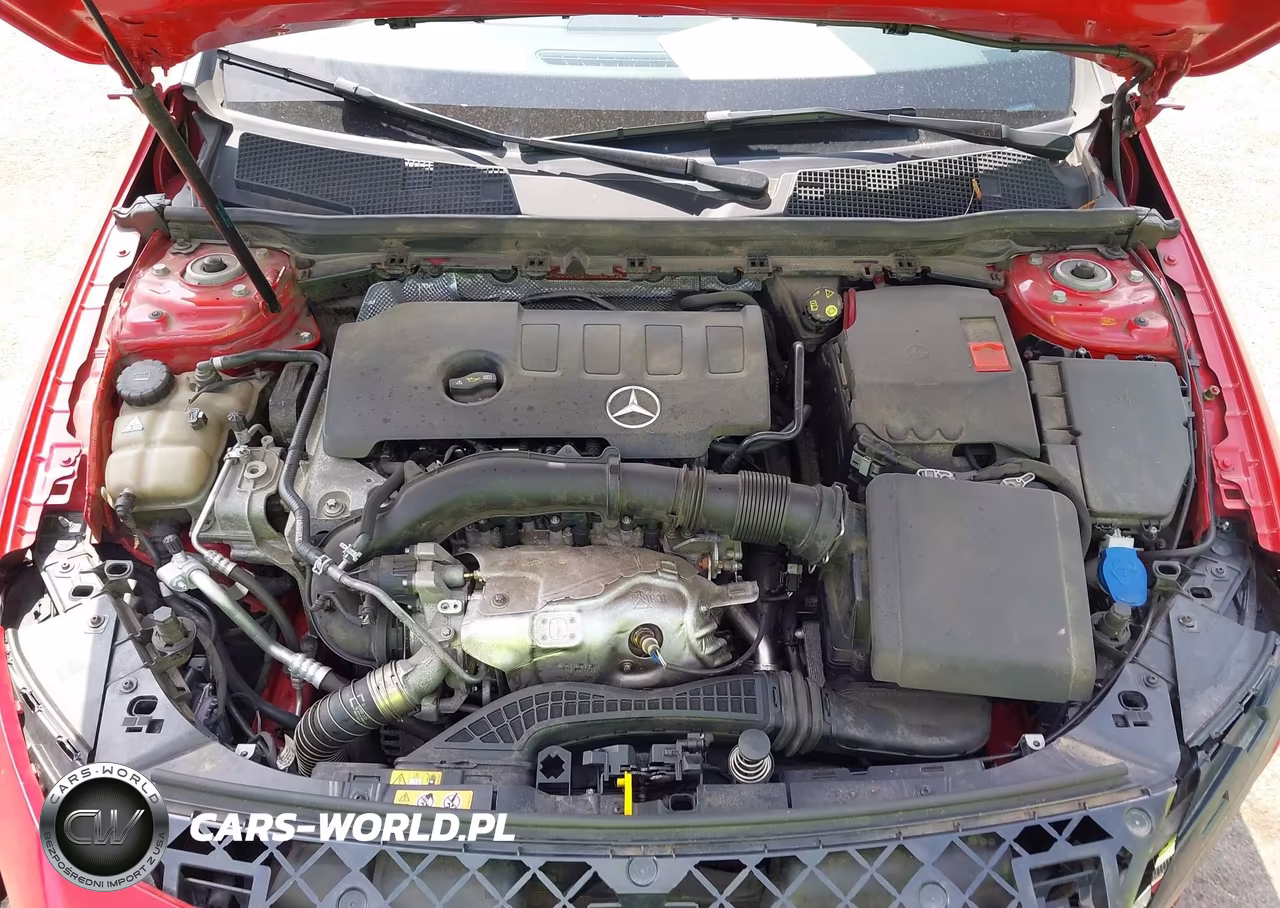 2019 Mercedes-Benz A 220 4Matic VIN:WDD3G4FBXKW023493 - 10