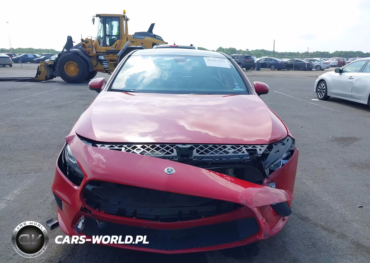 2019 Mercedes-Benz A 220 4Matic VIN:WDD3G4FBXKW023493 - 12