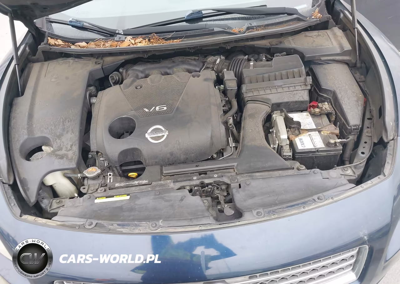 2010 Nissan Maxima 3.5 Sv VIN:1N4AA5AP8AC822321 - 10