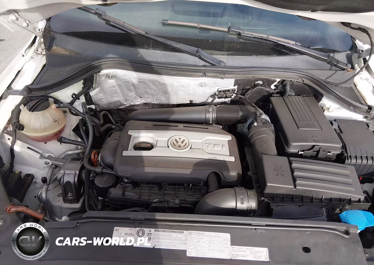 2013 Volkswagen Tiguan S VIN:WVGAV7AX9DW504006 - 10