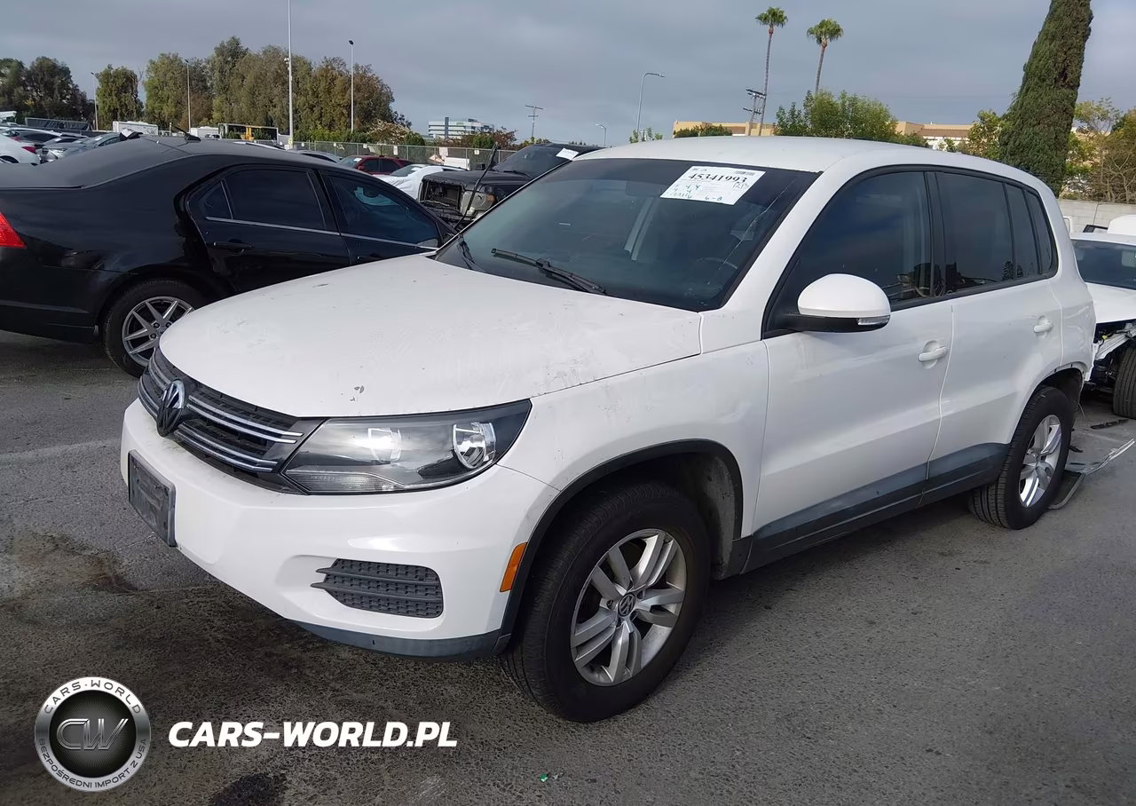 2013 Volkswagen Tiguan S VIN:WVGAV7AX9DW504006 - 2
