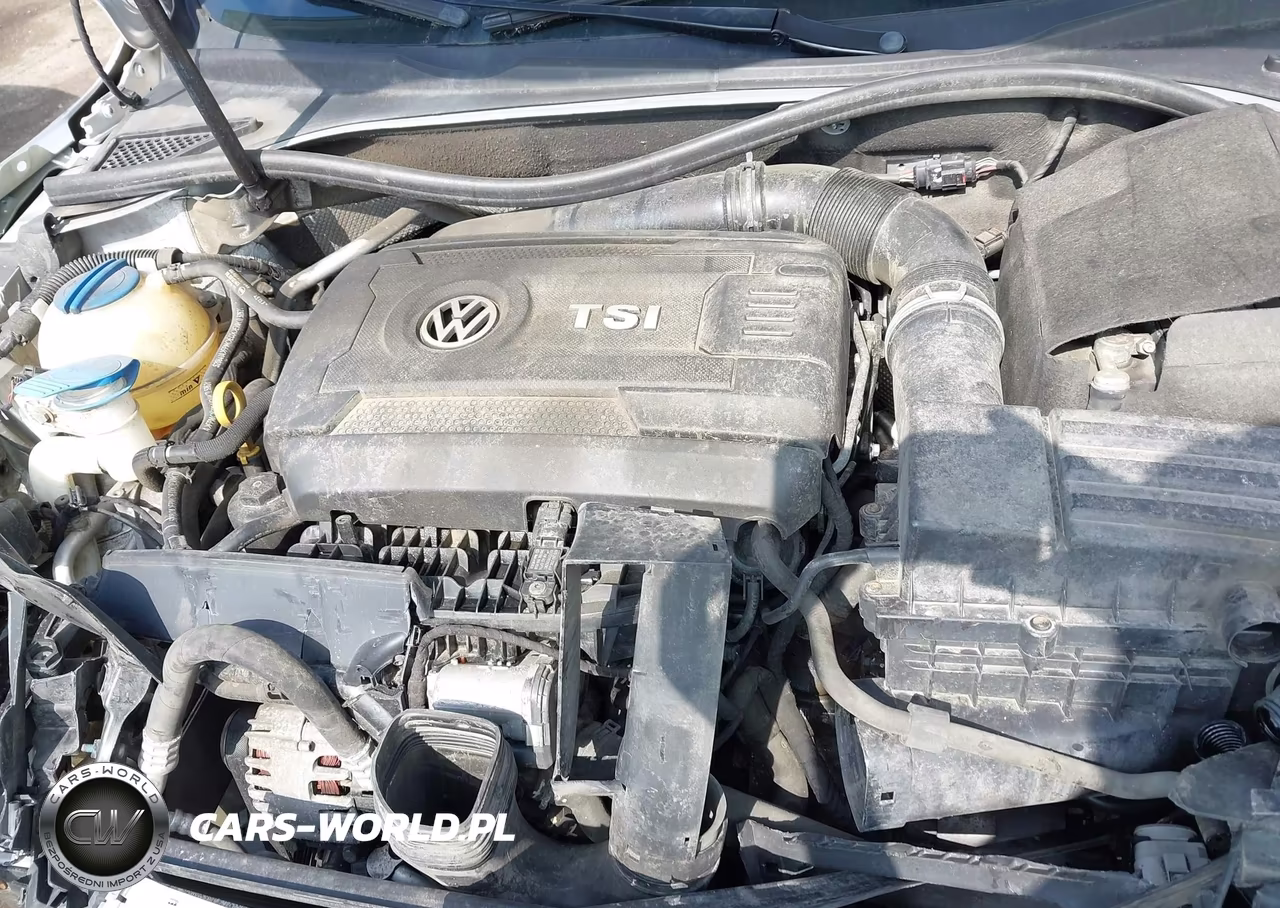 2016 Volkswagen Passat 1.8T S VIN:1VWAT7A32GC031690 - 10