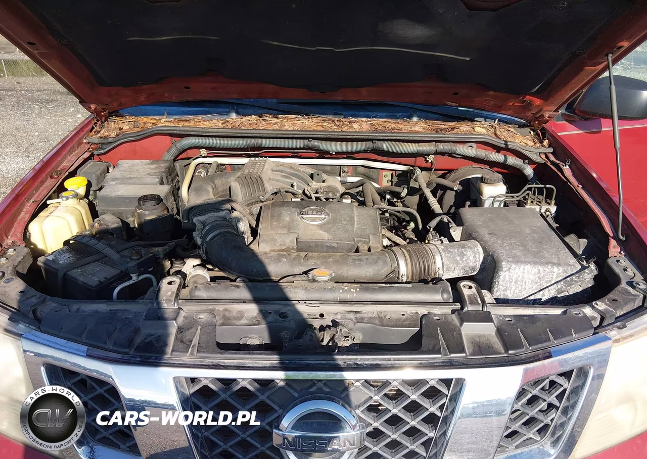 2010 Nissan Frontier Se VIN:1N6AD0ER9AC419428 - 10