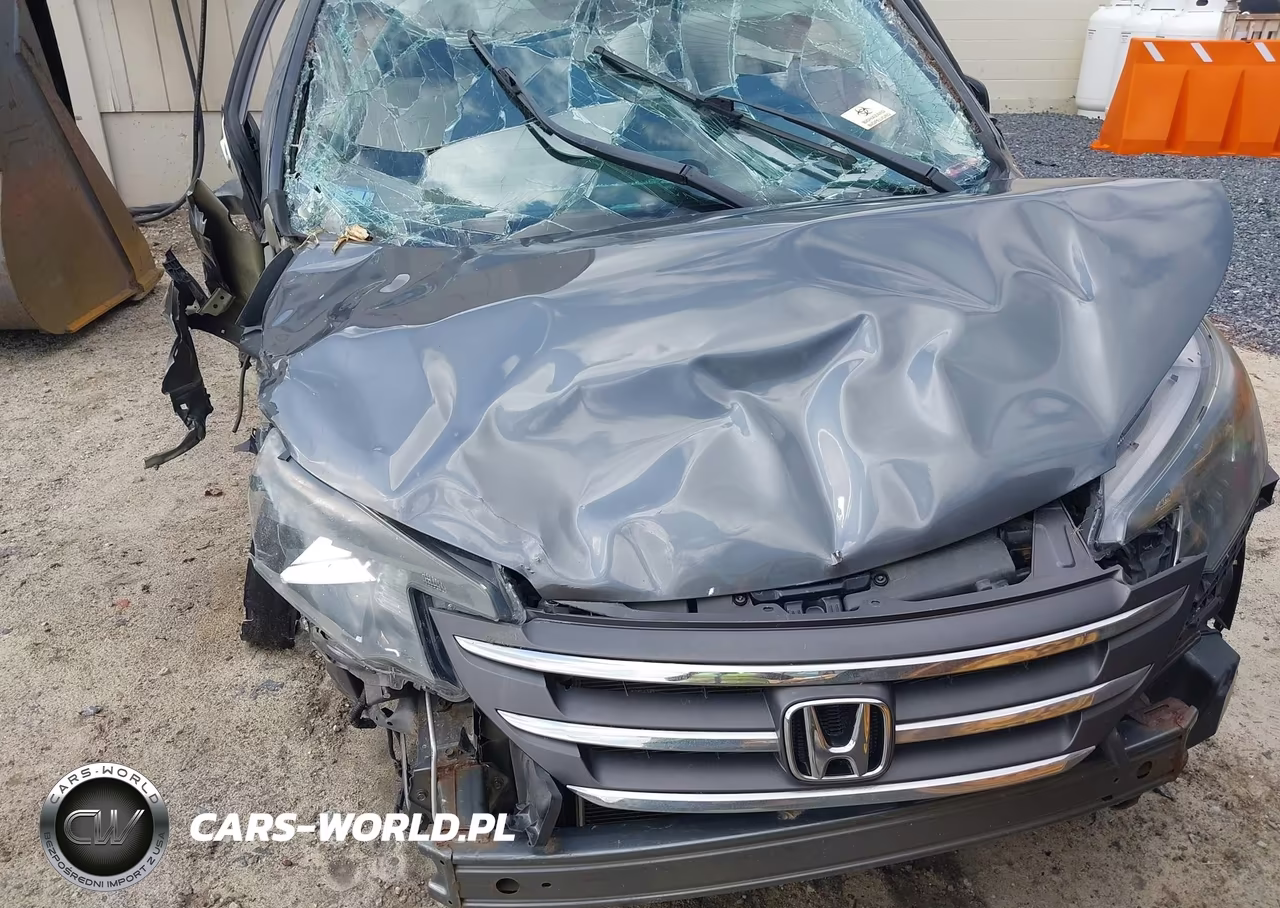 2014 Honda Cr-V Lx VIN:2HKRM4H30EH671633 - 10
