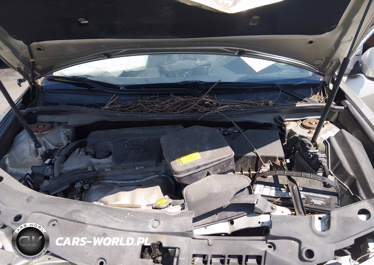 2013 Toyota Camry Xle VIN:4T4BF1FK0DR334907 - 10