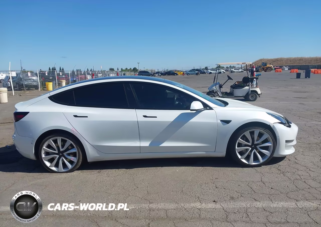 2022 Tesla Model 3 Rear-Wheel Drive VIN:5YJ3E1EA3NF241453 - 12