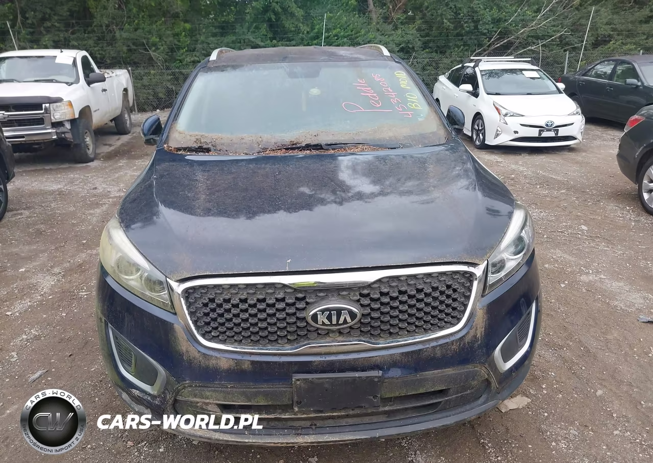 2016 Kia Sorento 2.4L Lx VIN:5XYPGDA38GG146046 - 12