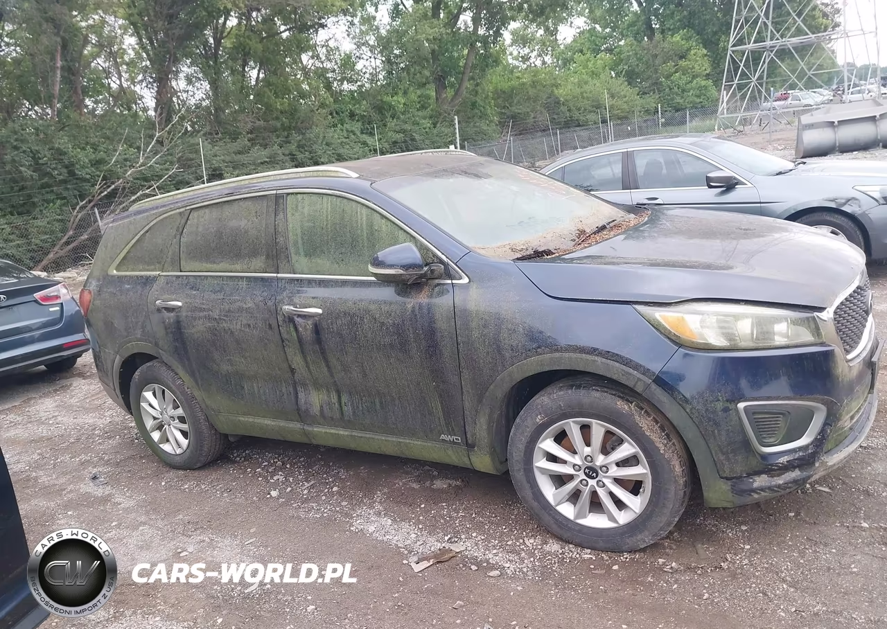 2016 Kia Sorento 2.4L Lx VIN:5XYPGDA38GG146046 - 13