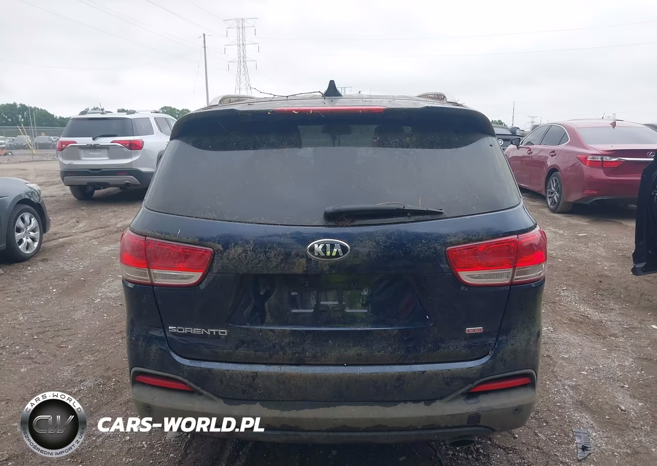 2016 Kia Sorento 2.4L Lx VIN:5XYPGDA38GG146046 - 16