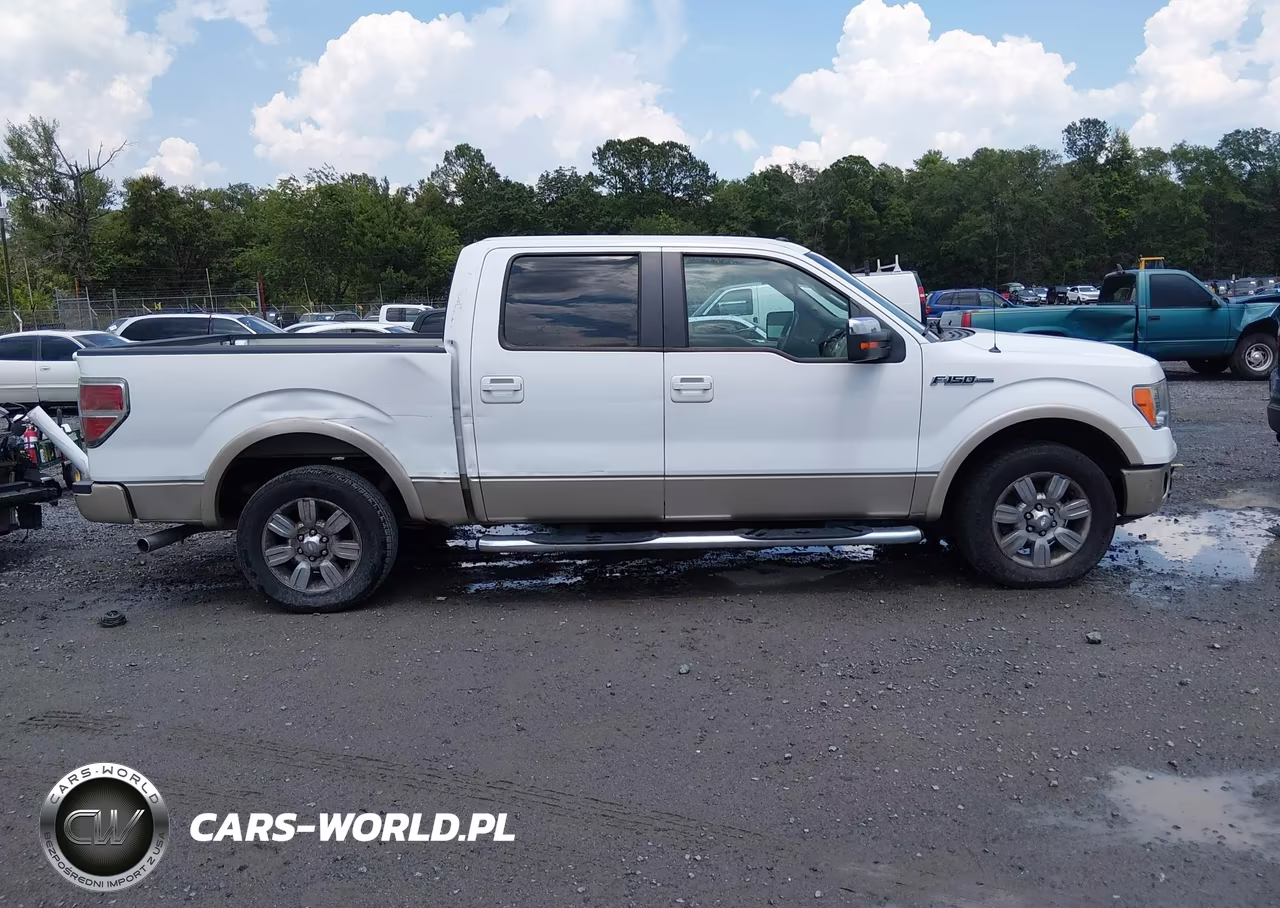2009 Ford F-150 King Ranch-Lariat-Platinum-Xl-Xlt VIN:1FTPW12V69FB45825 - 13