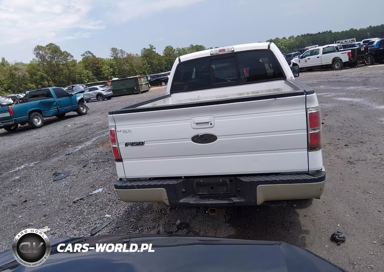 2009 Ford F-150 King Ranch-Lariat-Platinum-Xl-Xlt VIN:1FTPW12V69FB45825 - 16