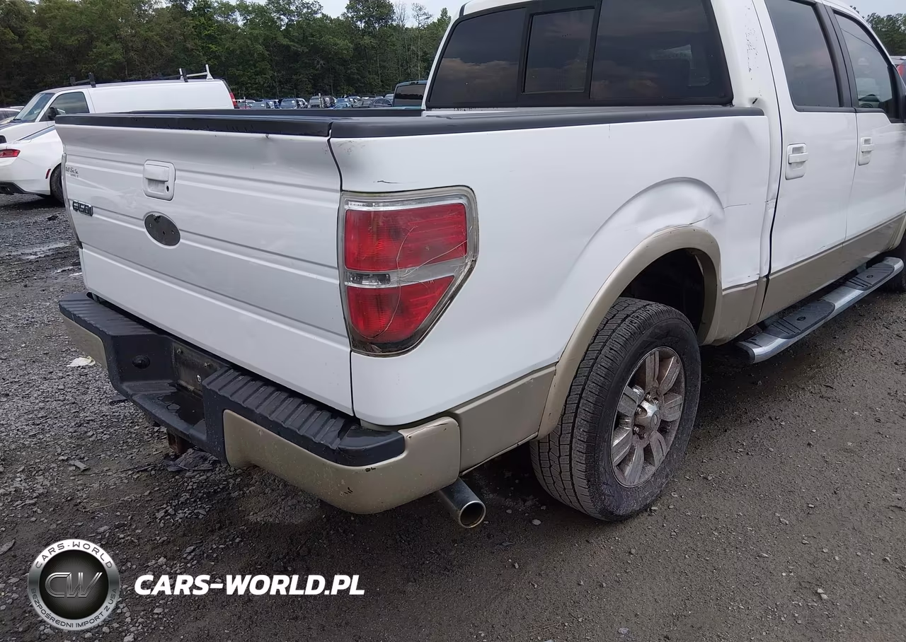 2009 Ford F-150 King Ranch-Lariat-Platinum-Xl-Xlt VIN:1FTPW12V69FB45825 - 17