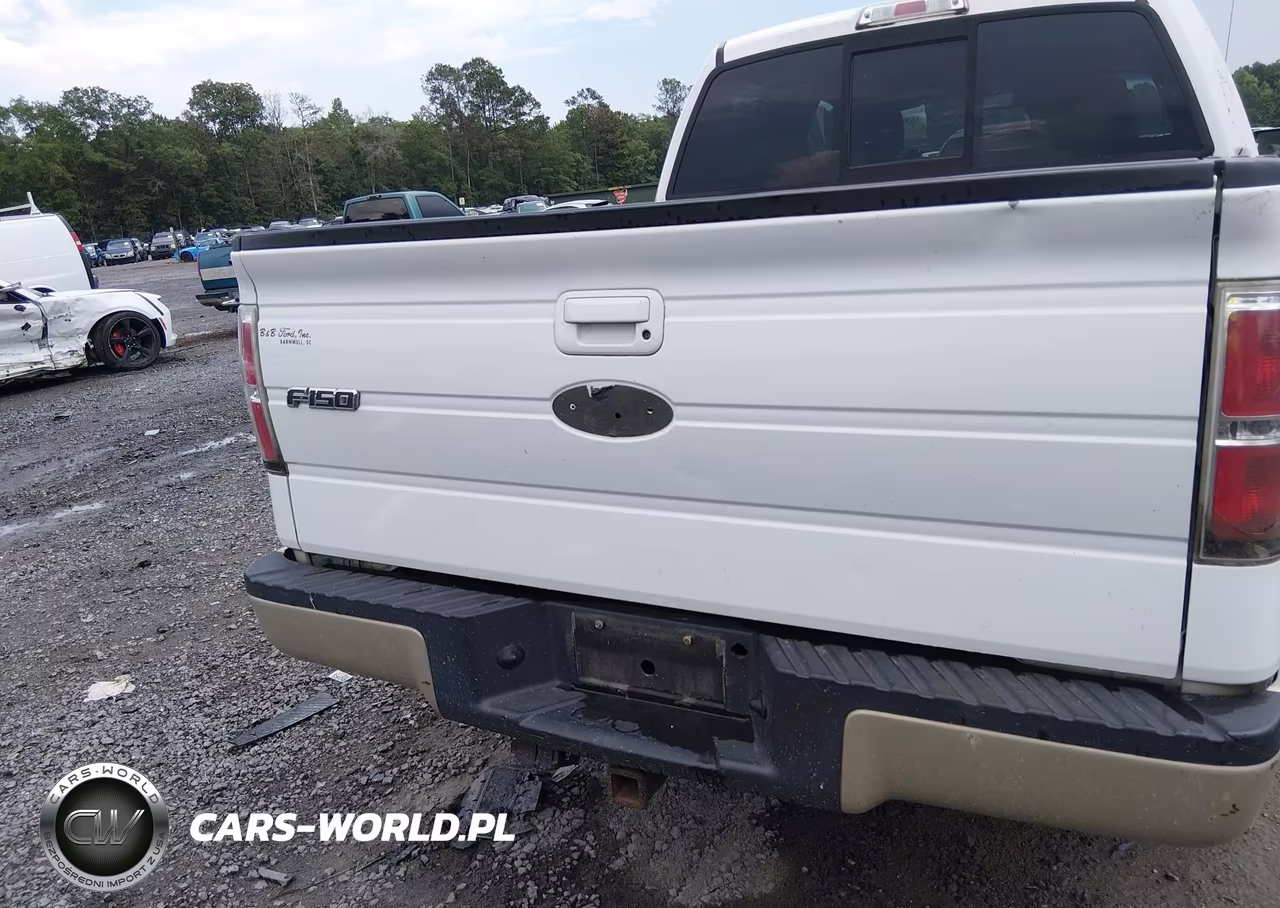 2009 Ford F-150 King Ranch-Lariat-Platinum-Xl-Xlt VIN:1FTPW12V69FB45825 - 18