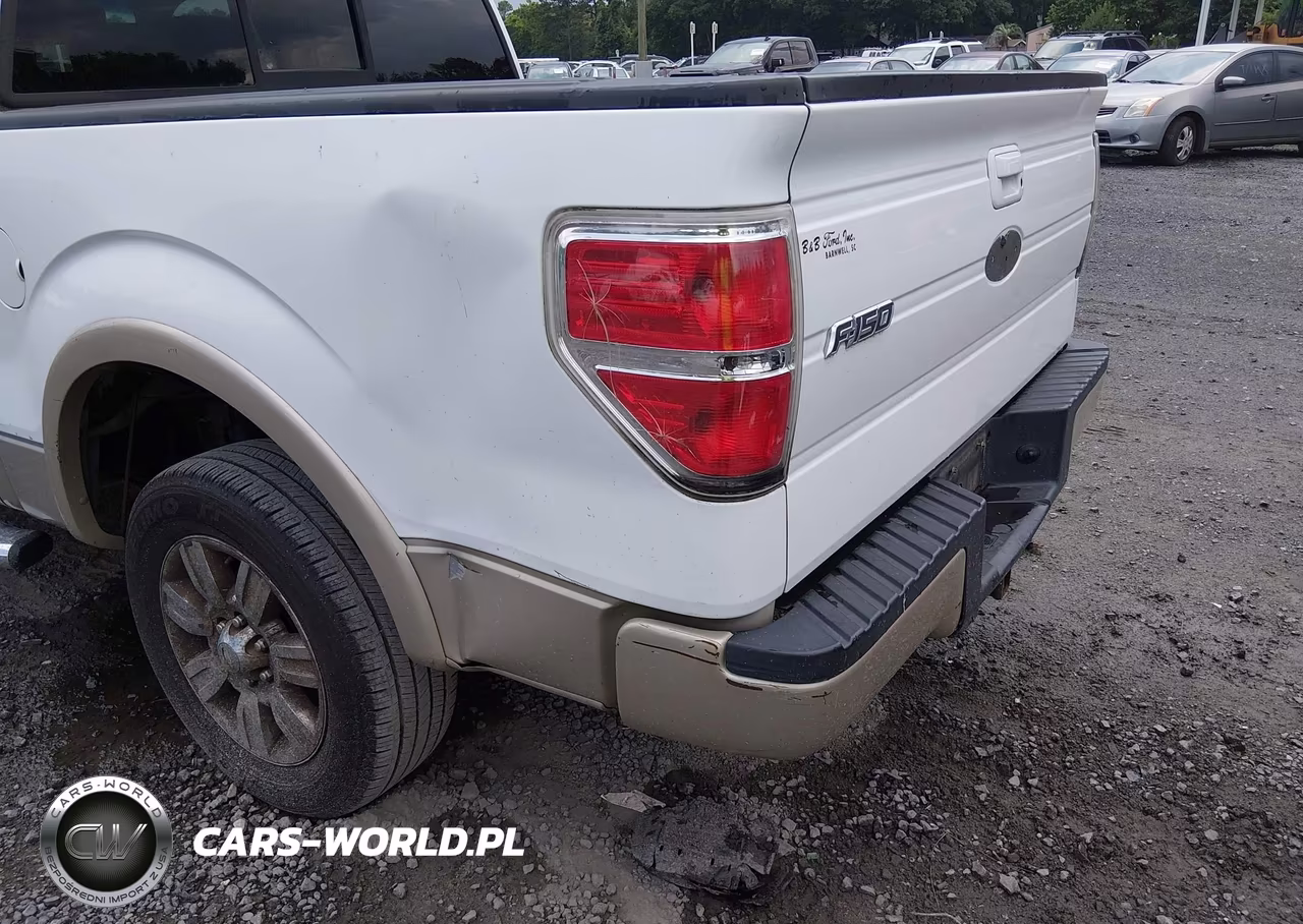 2009 Ford F-150 King Ranch-Lariat-Platinum-Xl-Xlt VIN:1FTPW12V69FB45825 - 19