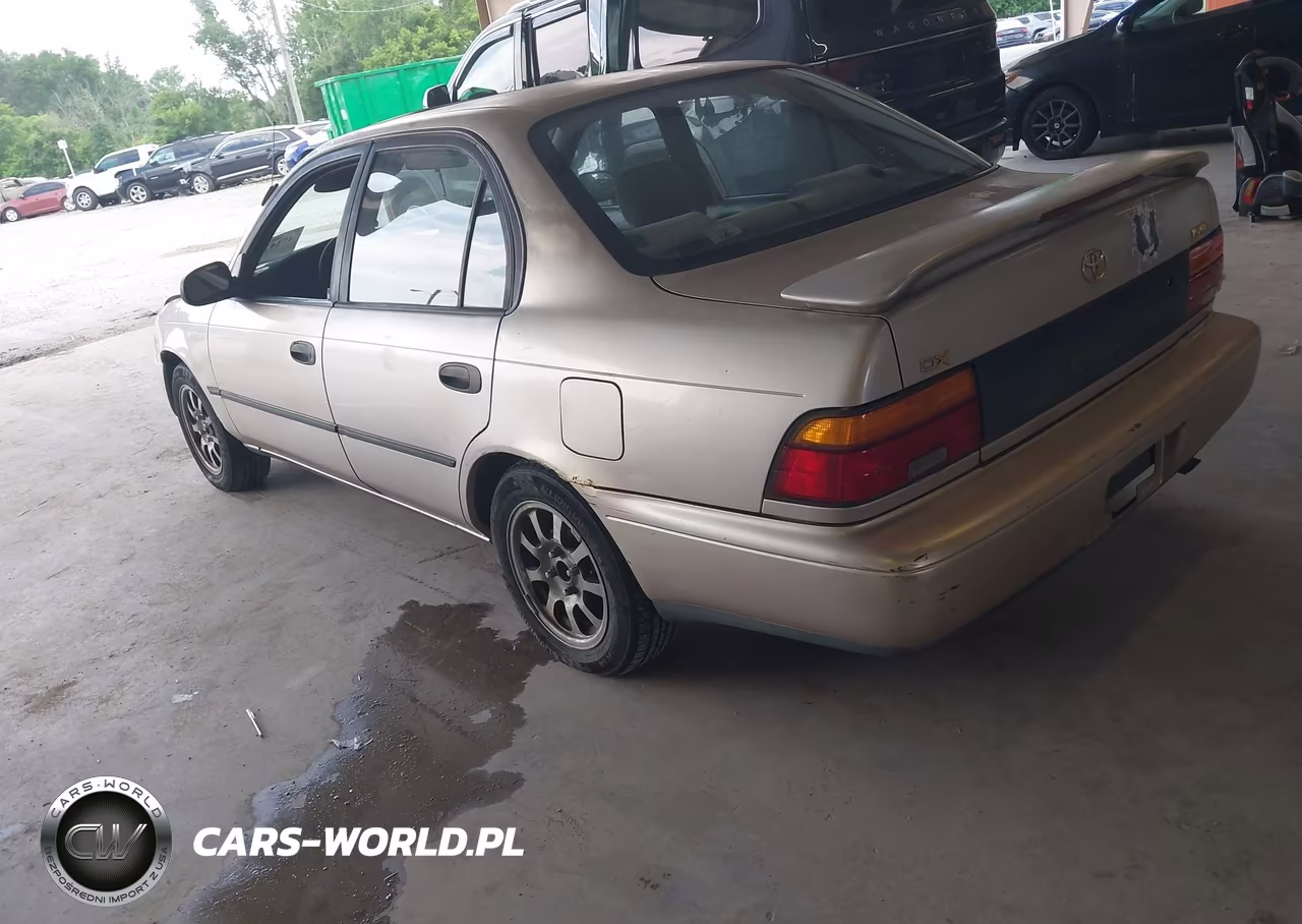 1995 Toyota Corolla Le-Dx VIN:1NXAE09B7SZ334088 - 3