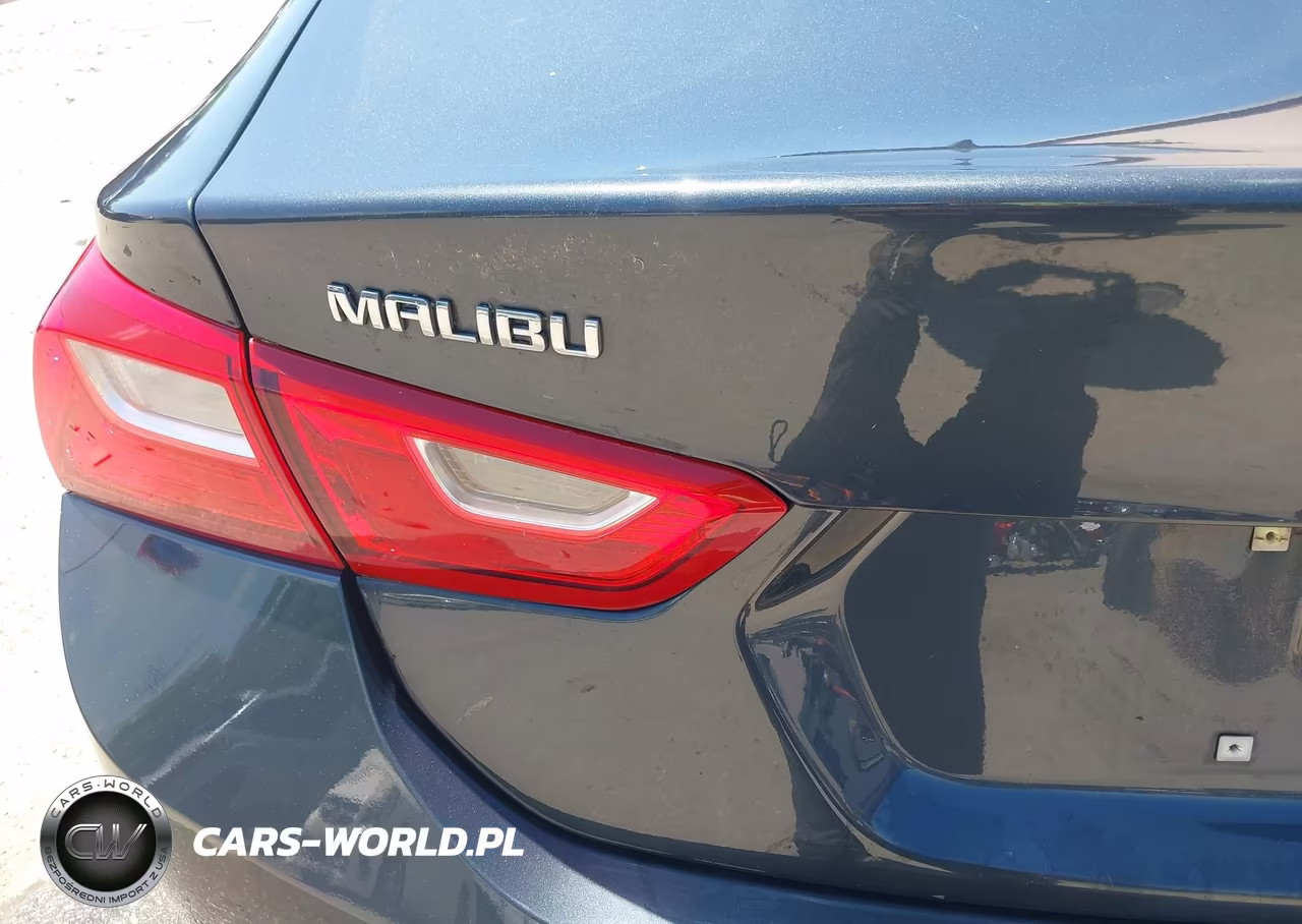2020 Chevrolet Malibu Fwd 1Fl VIN:1G1ZC5ST4LF137908 - 12