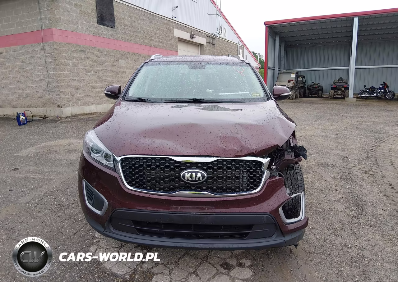 2017 Kia Sorento 3.3L Lx VIN:5XYPGDA50HG279404 - 12