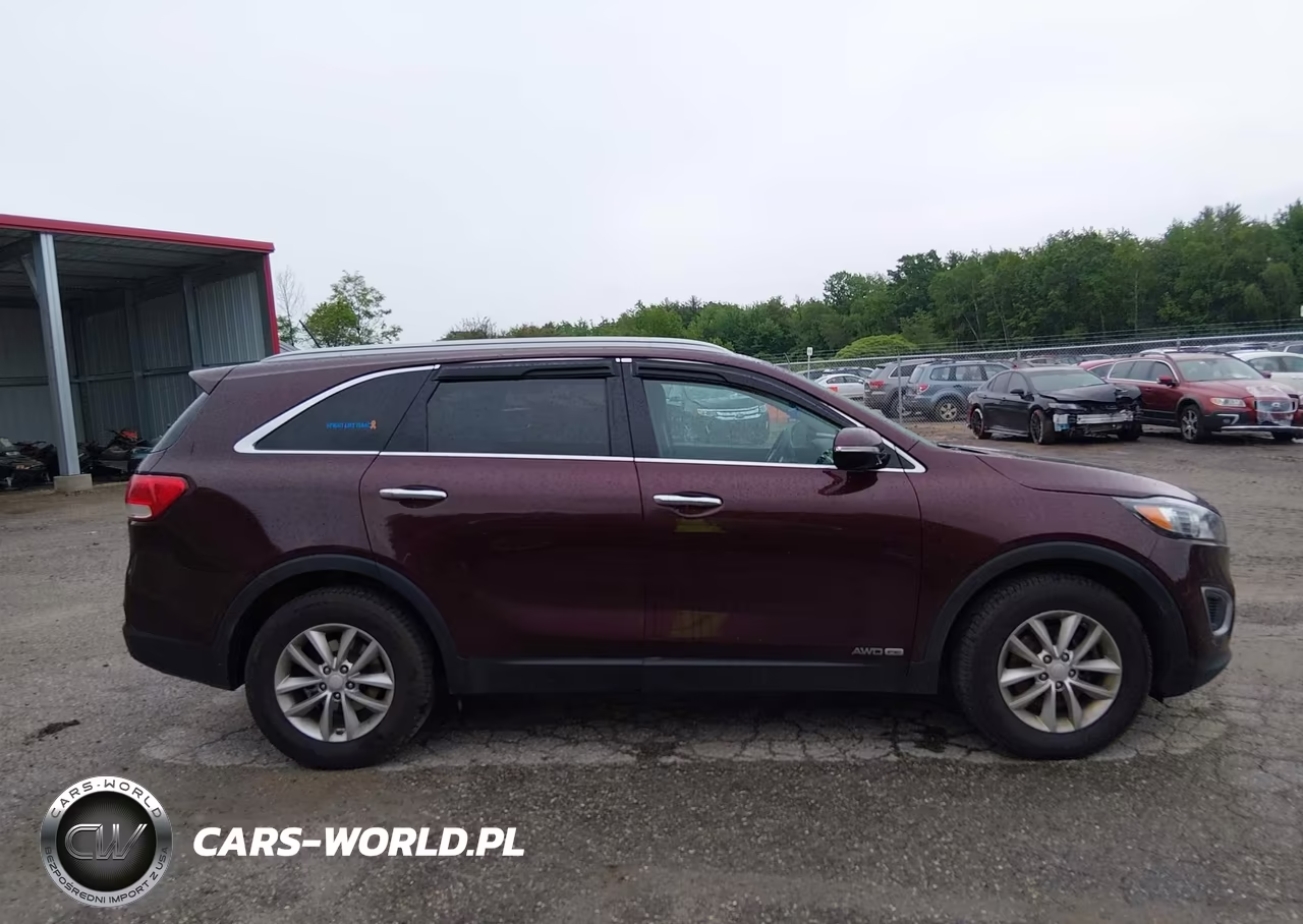 2017 Kia Sorento 3.3L Lx VIN:5XYPGDA50HG279404 - 13