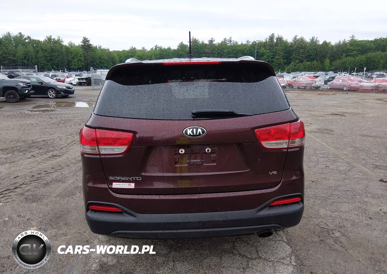 2017 Kia Sorento 3.3L Lx VIN:5XYPGDA50HG279404 - 16